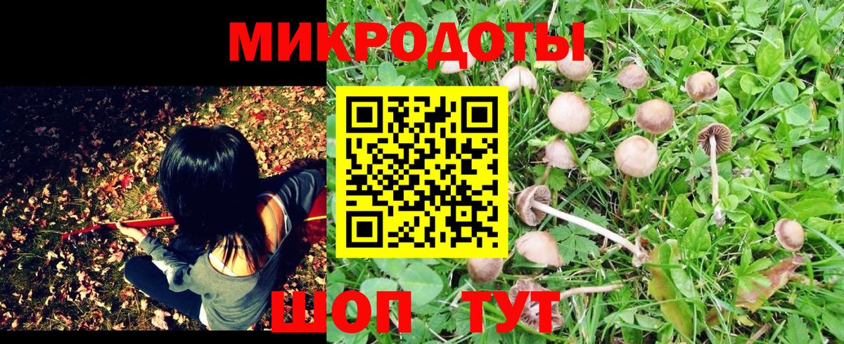 Галлюциногенные грибы прущие грибы  Вход с VPN  цена наркотик  Галлюциногенные грибы Psilocybe  Вязьма 